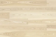 Ask Milkshake Grande