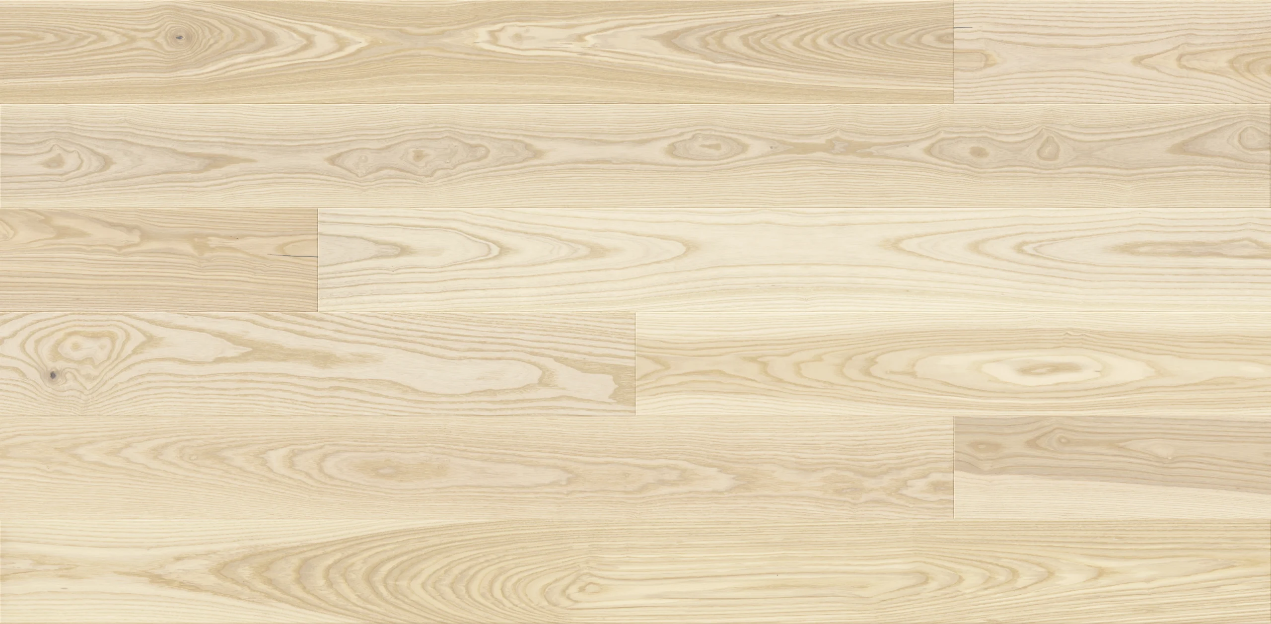 Ask Milkshake Grande