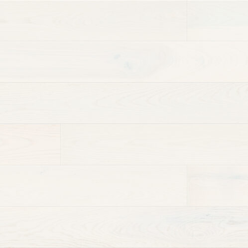 Ask Lemon Sorbet Grande