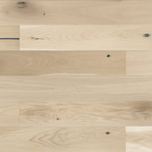 Ek Creme Brulee Grande